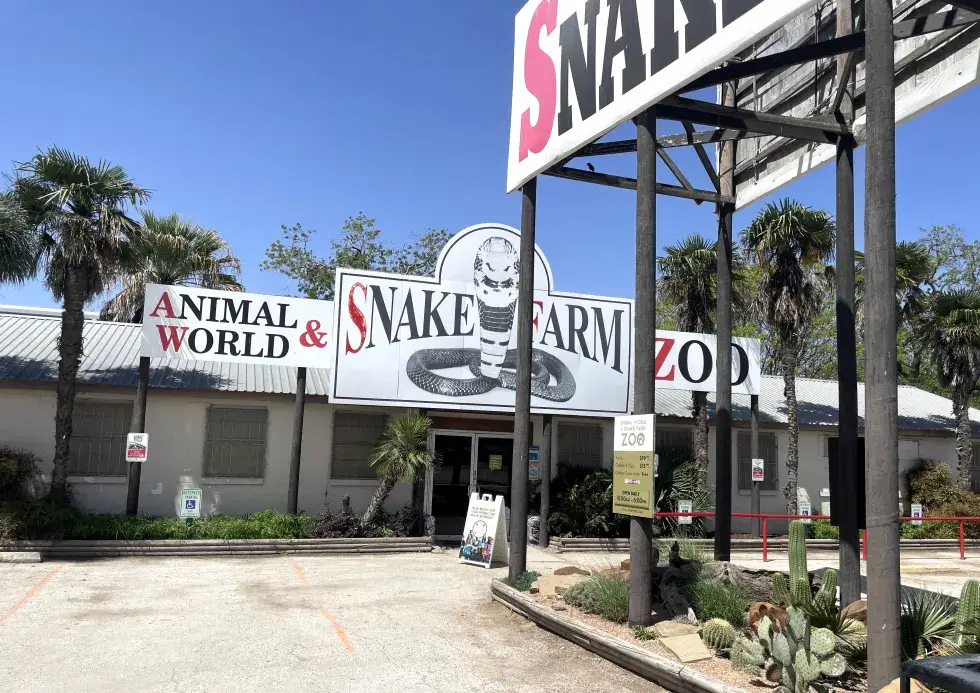 animal world & snake farm zoo in new braunfels