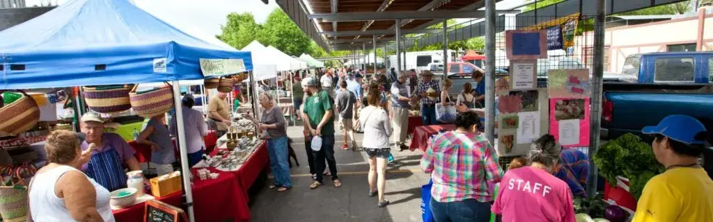 new braunfels farmers market in new braunfels