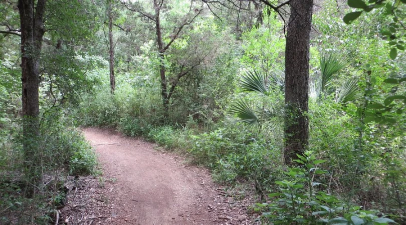 sunset valley nature area