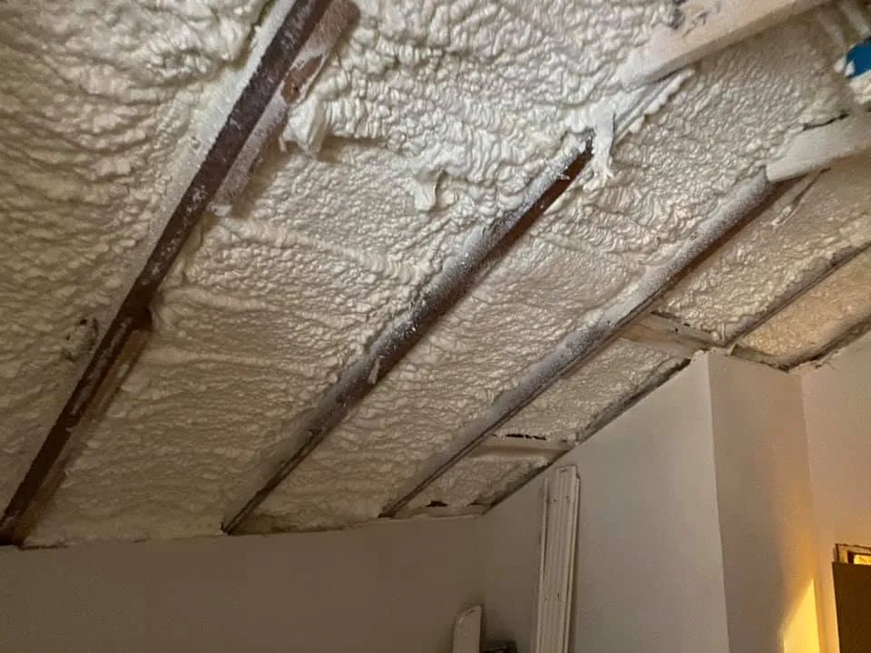 Best Spray Foam Insulation Services in Johnson City, TX