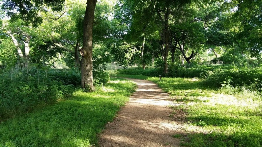 crescent bend nature park schertz
