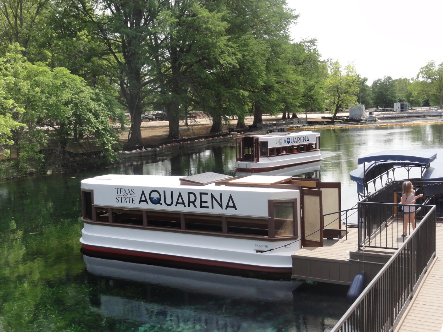 aquarena springs