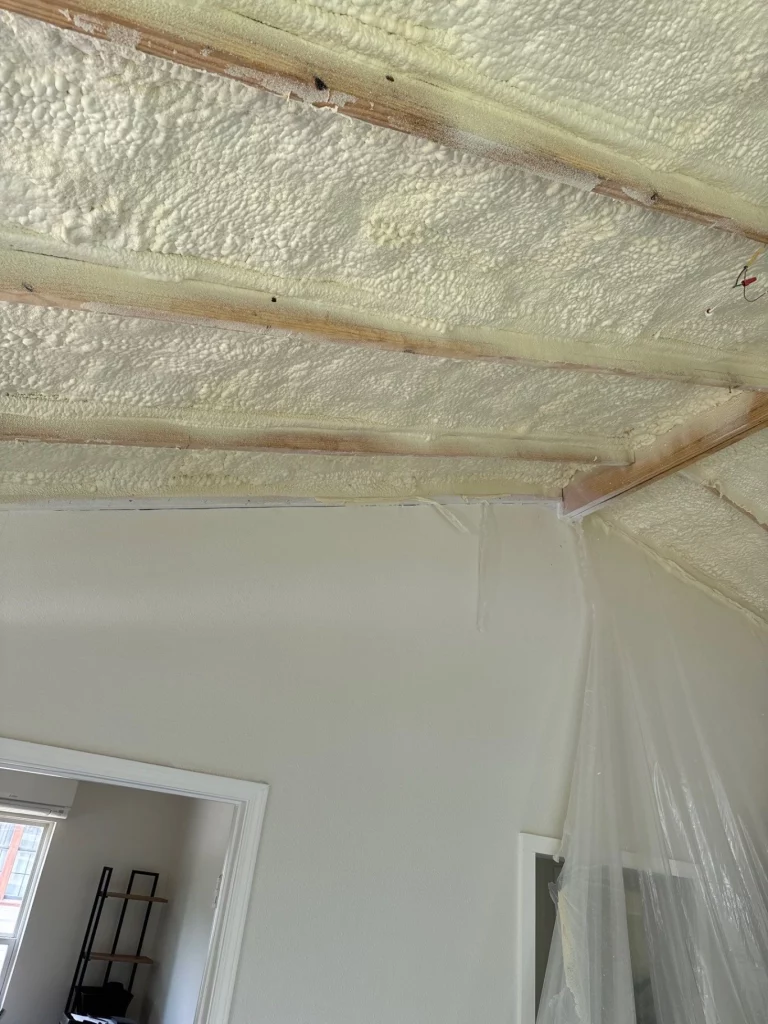 reliable spray foam insulation contractor in bastrop, tx (1)