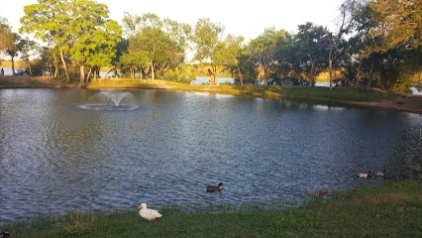 live oak main city park live oak main city park