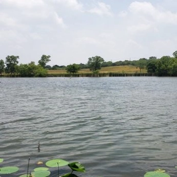 north park north park