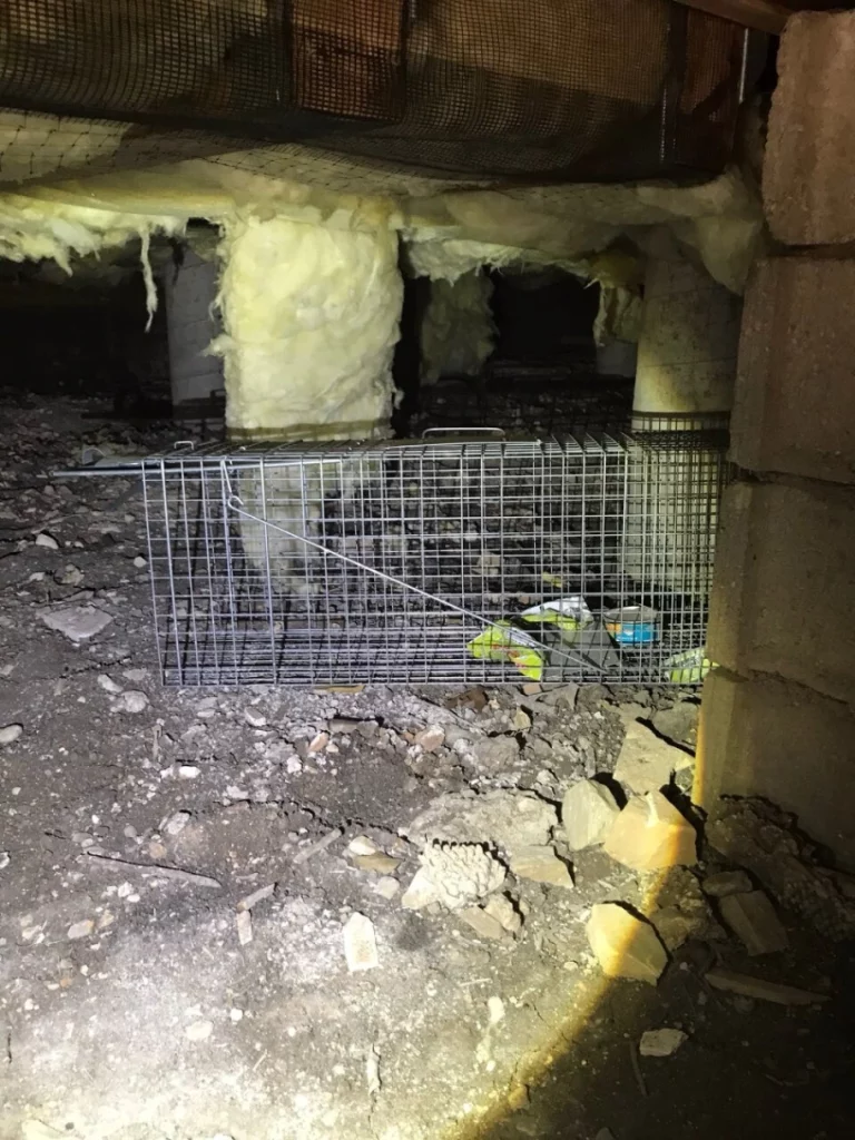 what are the benefits of a fully insulated crawl space. what are the benefits of a fully insulated crawl space.