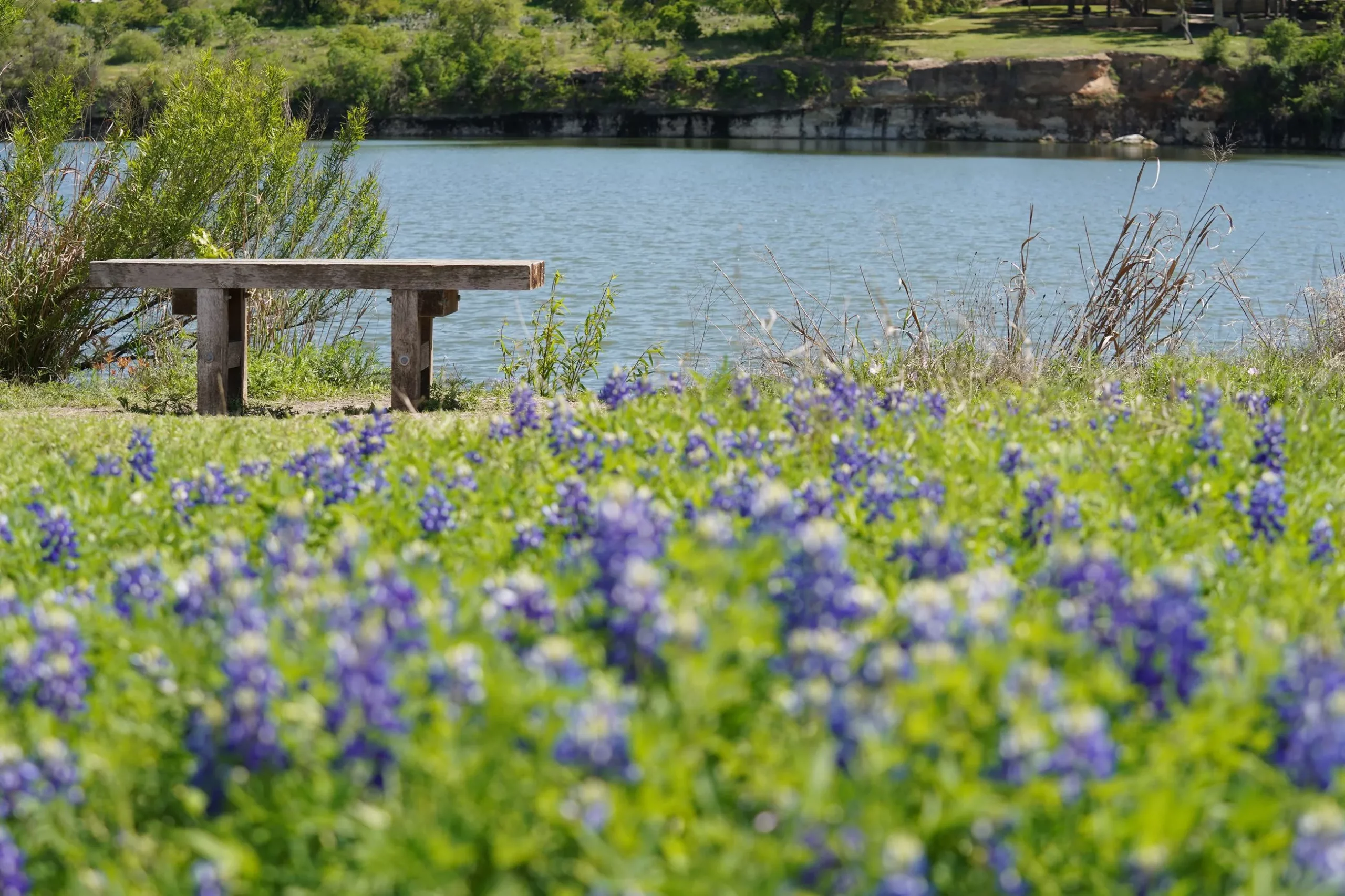 brushy creek lake park in cedar park, tx