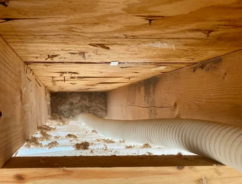 removing insulation a key step in preventing structural damage 