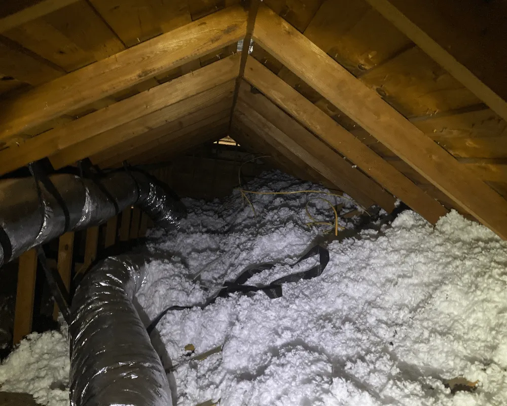seasonal guide when is the best time for insulation removal in hutto, tx 