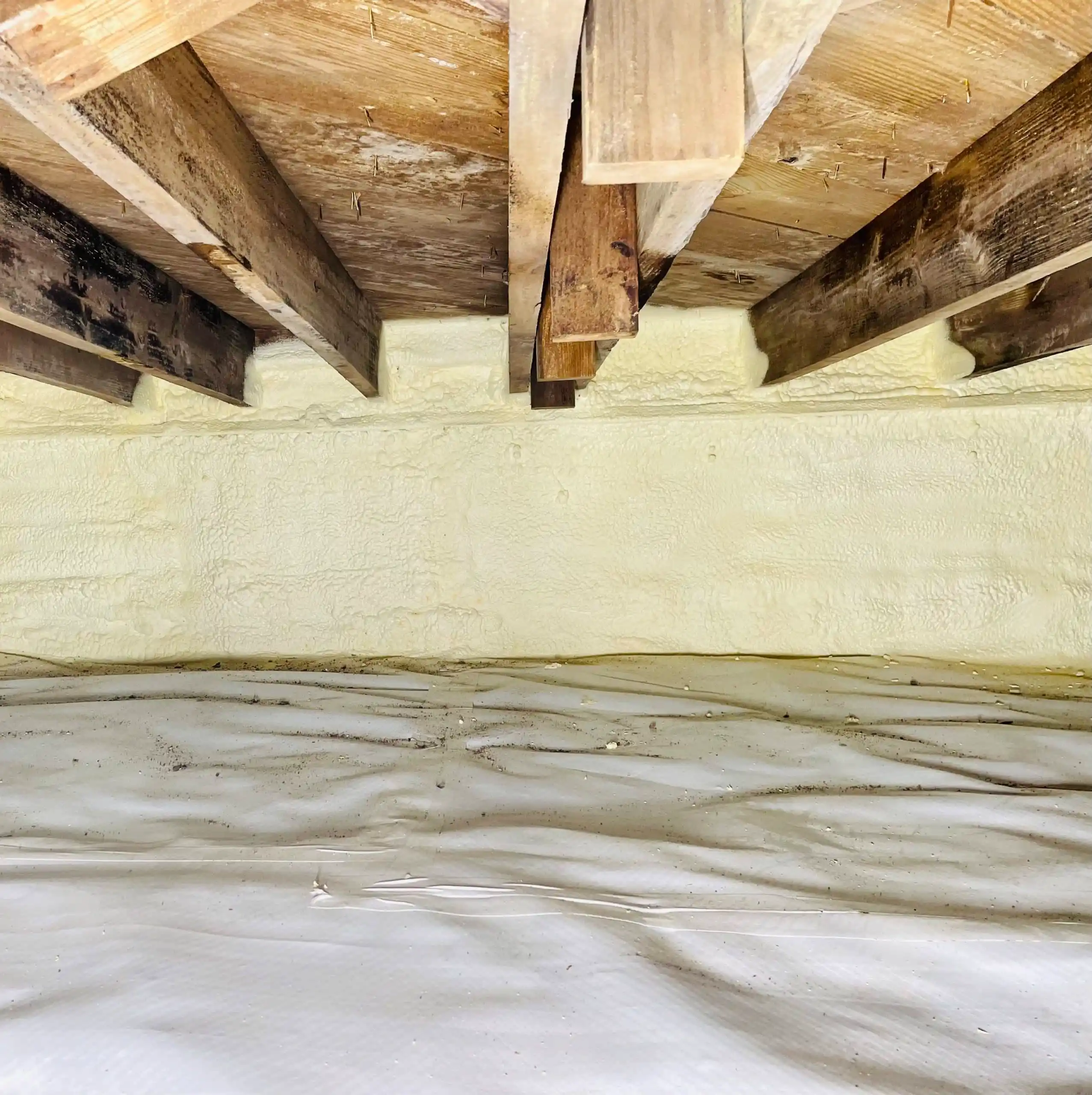 crawl space insulation or encapsulation crawl space insulation or encapsulation