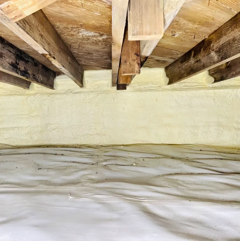 Why Crawl Space Is Wet After Insulation and How to Fix It